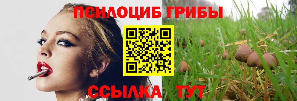 Псилоцибиновые грибы Psilocybine cubensis  Псилоцибиновые грибы GOLDEN TEACHER  Вход с VPN  Кондопога 